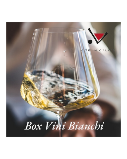 BOX Vini Bianchi (PLUS)