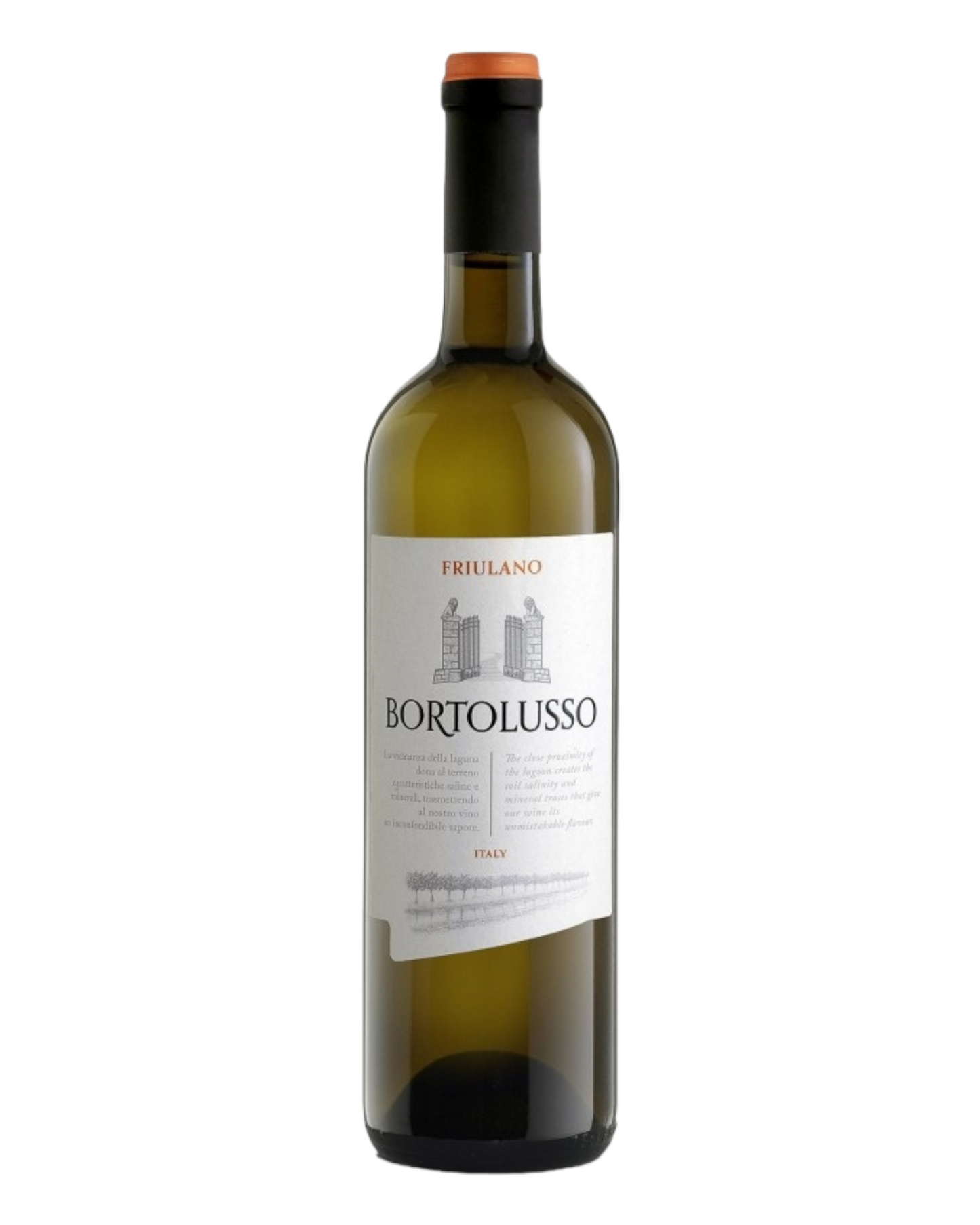 Friulano DOC - Vini Bortolusso