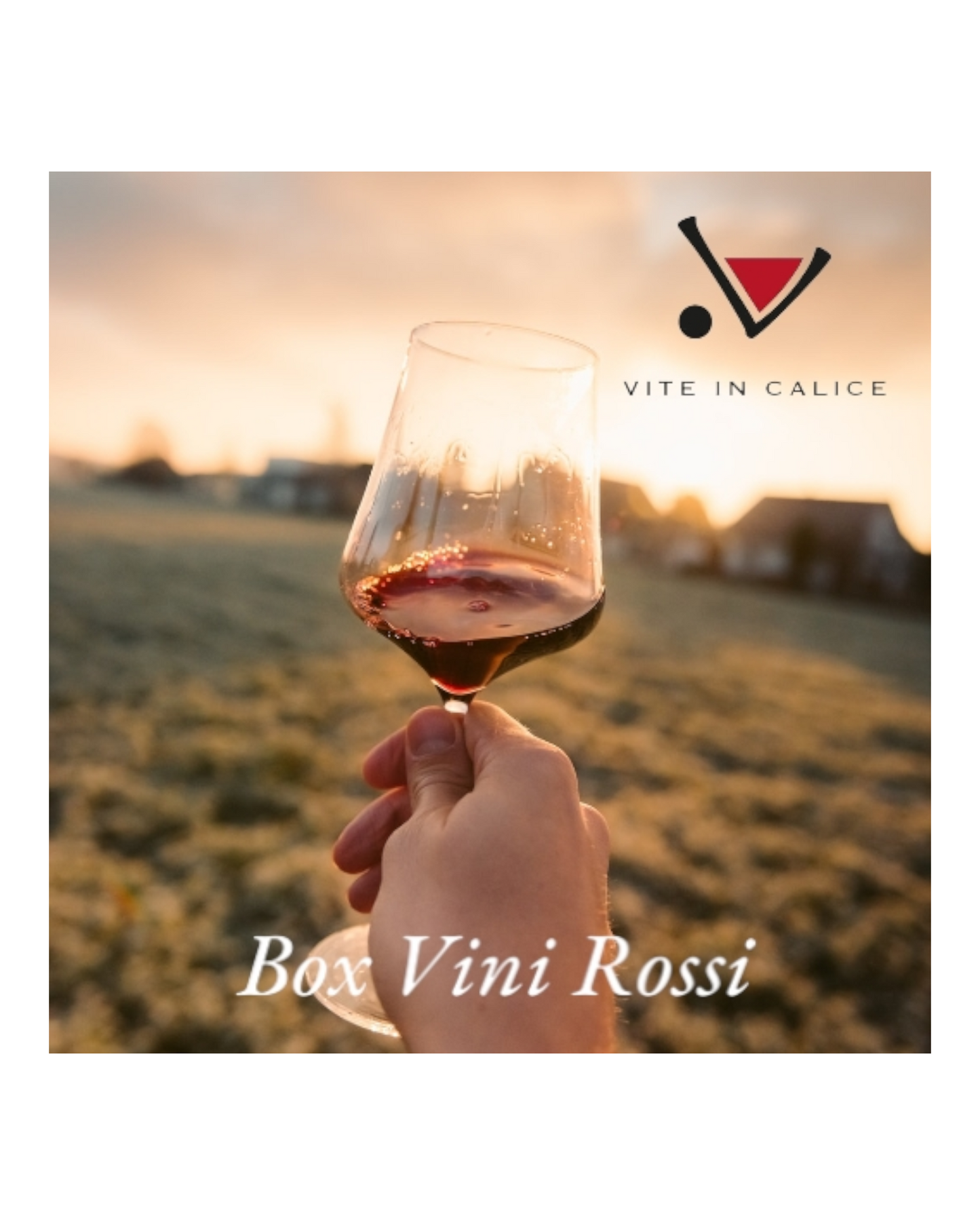 BOX Vini Rossi (PLUS)